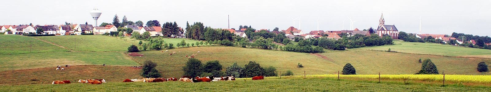 Kühe auf Weide im Hintergrund ein Dorf ©DLR